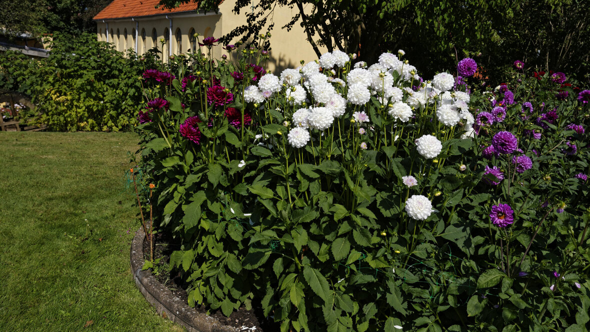Stenkant rundt om blomsterbed i haven