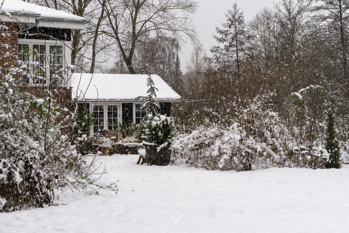 vinterhave vinterhave med sne