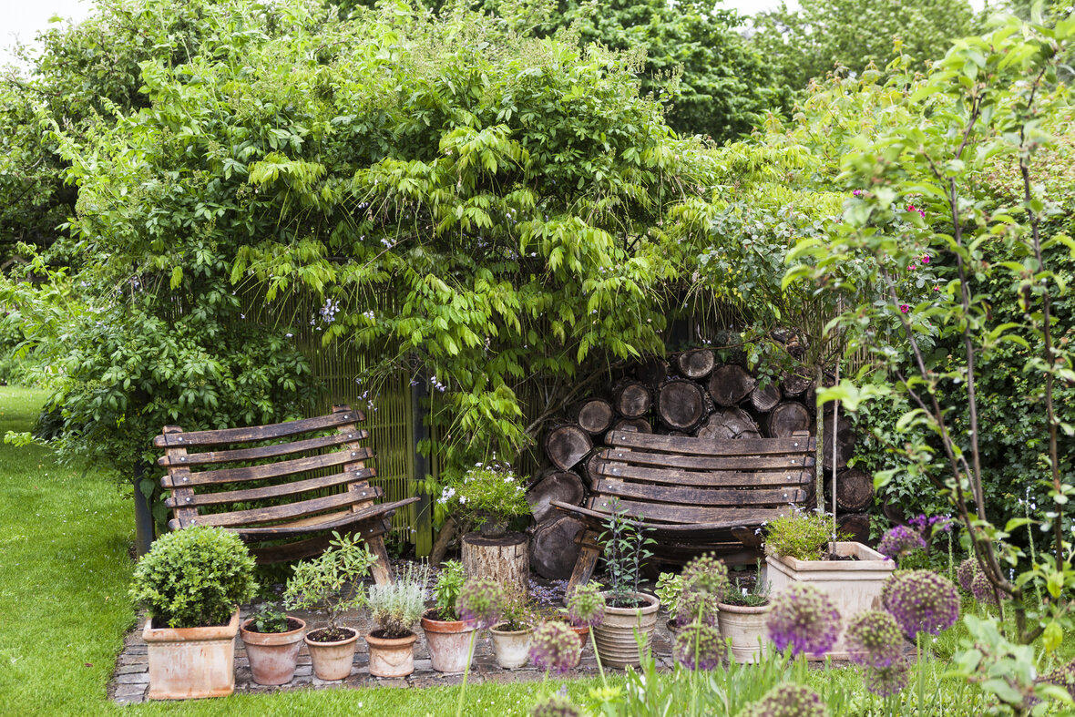 udendørs krukker med planter på terrasse