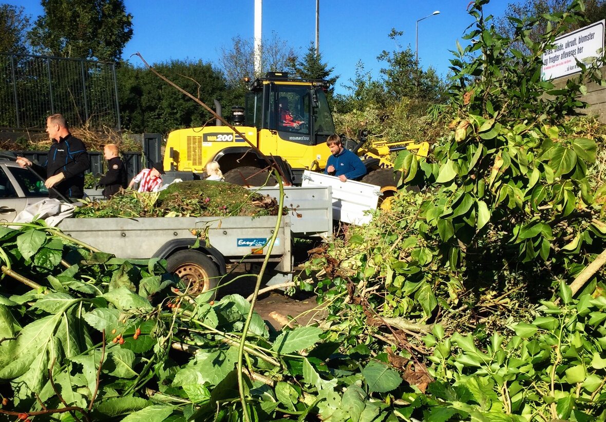 haveaffald, afklippede grene og blade