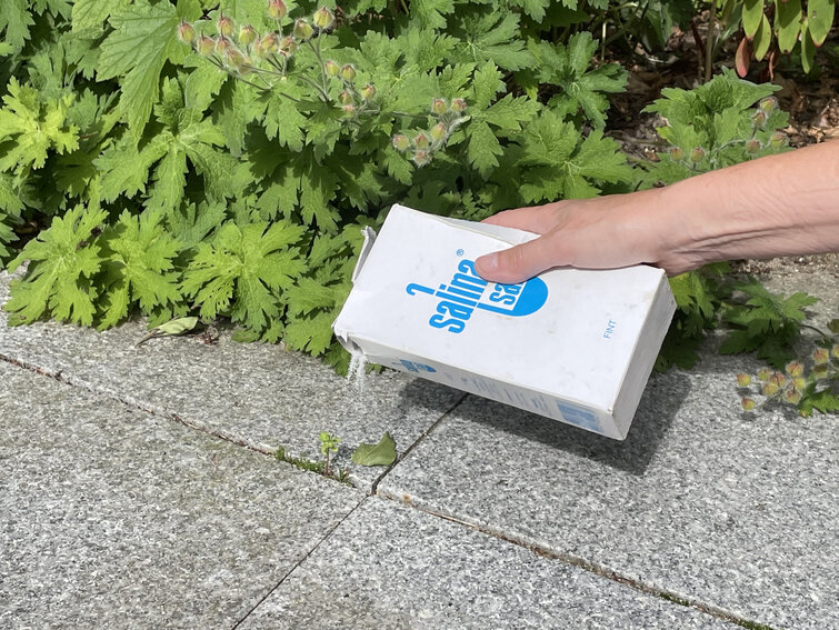 salt bruges til at bekæmpe ukrudt på terassefliser